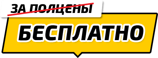 Бесплатно
